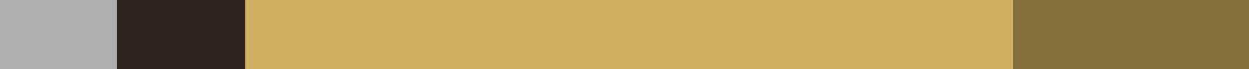 Black Hills Cougar Classic color scheme