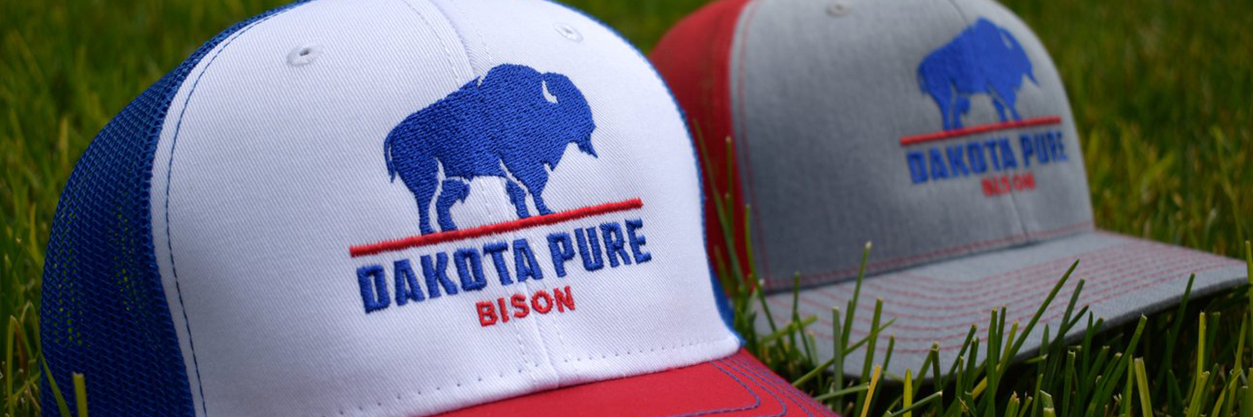 Dakota Pure Bison caps with logo